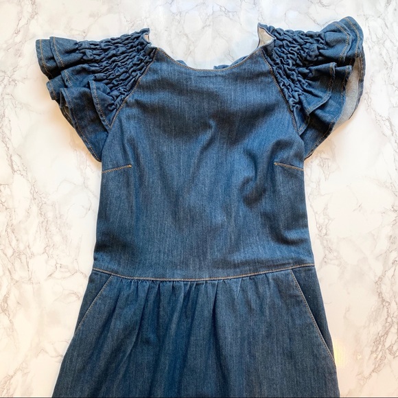 Red Valentino Ruffle Sleeve Denim Dress Size 4 - Picture 2 of 12